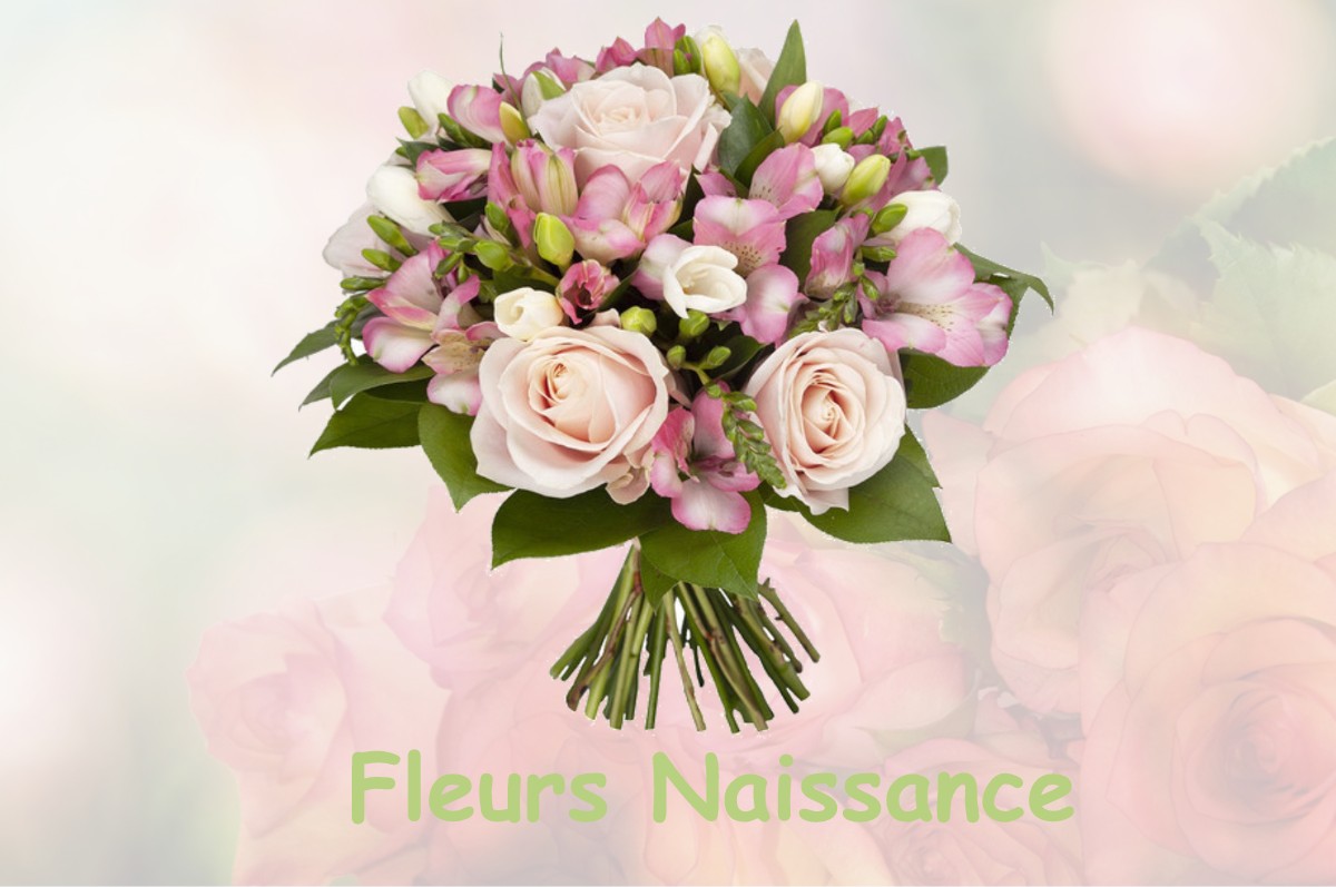 fleurs naissance LA-FERRIERE-SUR-RISLE